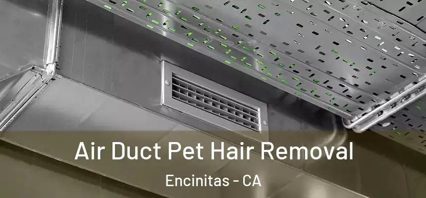  Air Duct Pet Hair Removal Encinitas - CA