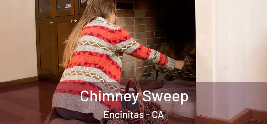  Chimney Sweep Encinitas - CA