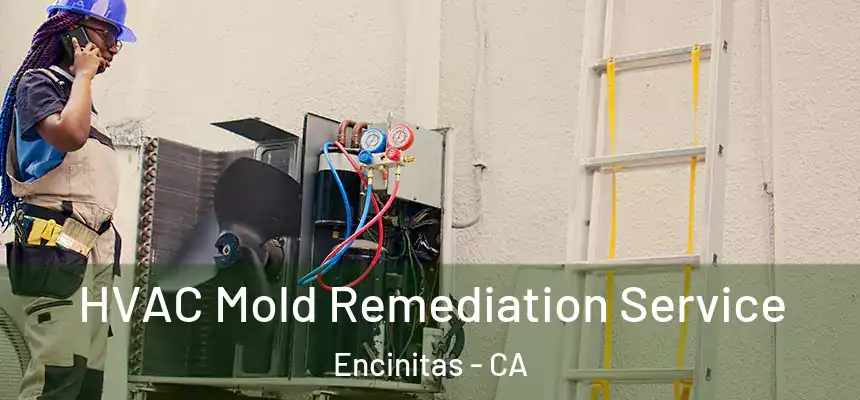  HVAC Mold Remediation Service Encinitas - CA