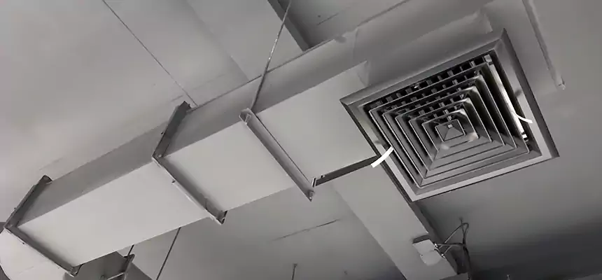 Our Pest Removal From Ducts Services in Encinitas, CA