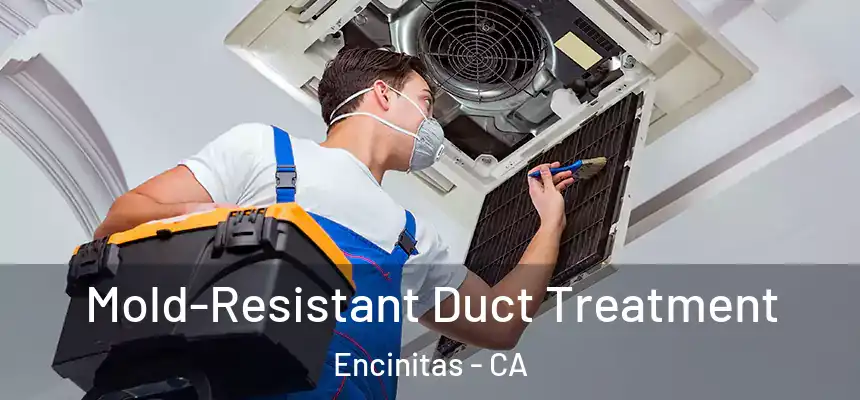  Mold-Resistant Duct Treatment Encinitas - CA