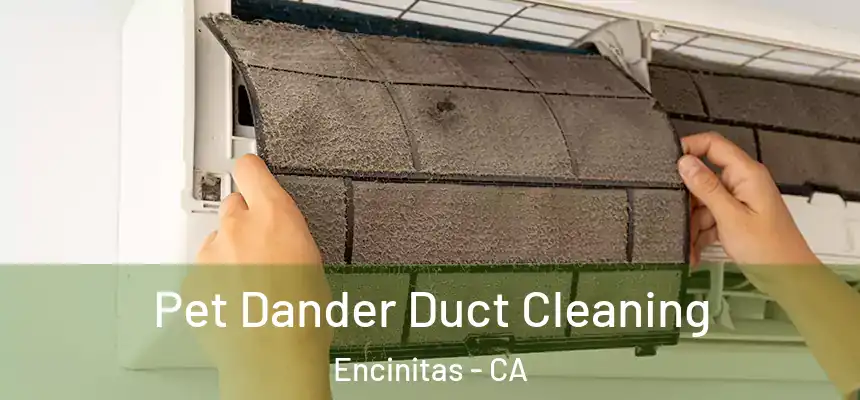  Pet Dander Duct Cleaning Encinitas - CA