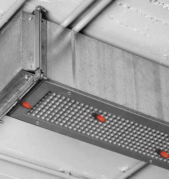 About Air Duct Cockroach Removal in Encinitas, CA