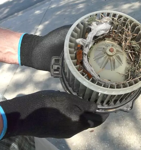 About Air Duct Mice Removal in Encinitas, CA