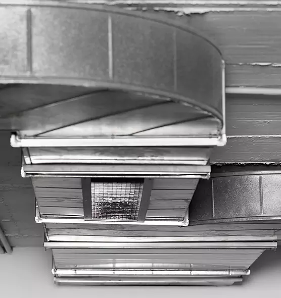 Professional Air Duct Pet Hair Removal in Encinitas, CA