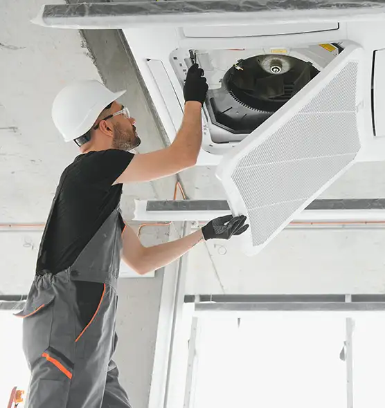 About Air Duct Rodent Removal in Encinitas, CA