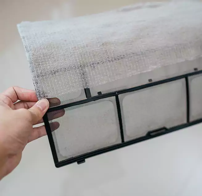 Why Homeowners & Businesses Trust Us in Encinitas, CA?