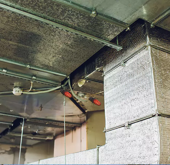 Why Homeowners & Businesses Trust Us Encinitas, CA?